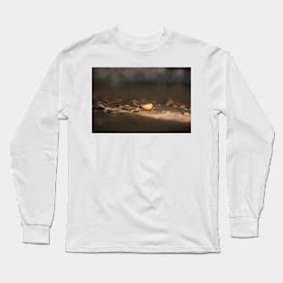 Seashell at Sea 4 Long Sleeve T-Shirt